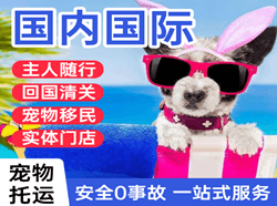 丽江航空货运国际宠物托运 【国